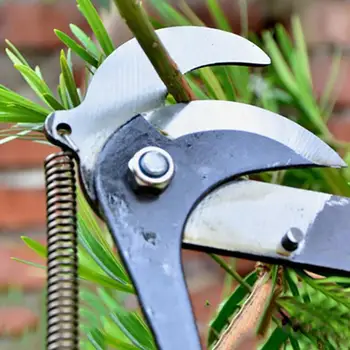  Высокогорные ножницы для фруктовых веток Энергосберегающие ножницы для одиночного шкива с веревочным железным стержнем для садово-фермерских инструментов