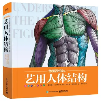 3D HD Искусство Книги о человеческом теле Скульптура Игра Дизайн персонажа Основы Учебники Книги Рисование Человеческая форма Структура Скелетные мышцы
